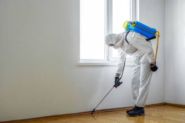 Best Termite Inspection and Treatment  in Minerva, OH